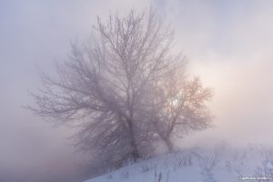 Туман на Горячке